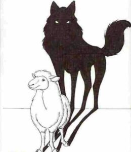 دو رویی سه 259x300